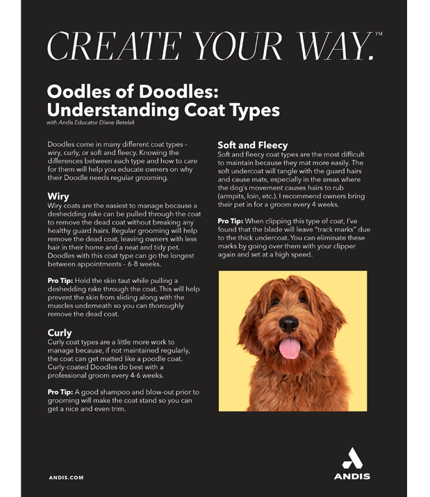 Understanding Coat Types