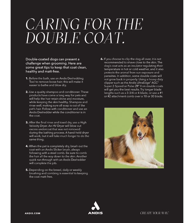 Caring for the Double Coat