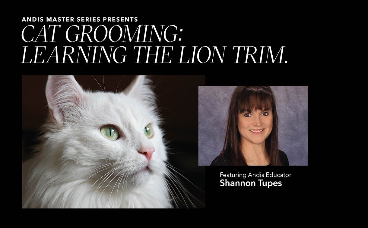 Cat Grooming: Learning the Lion Trim